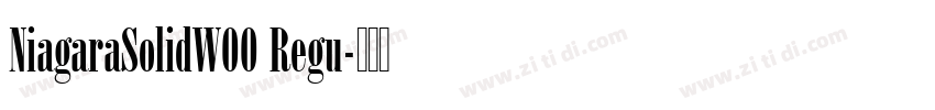 NiagaraSolidW00 Regu字体转换